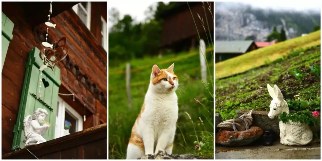 瑞士意大利德国奥地利自驾路线,奥地利瑞士自驾旅行2016年