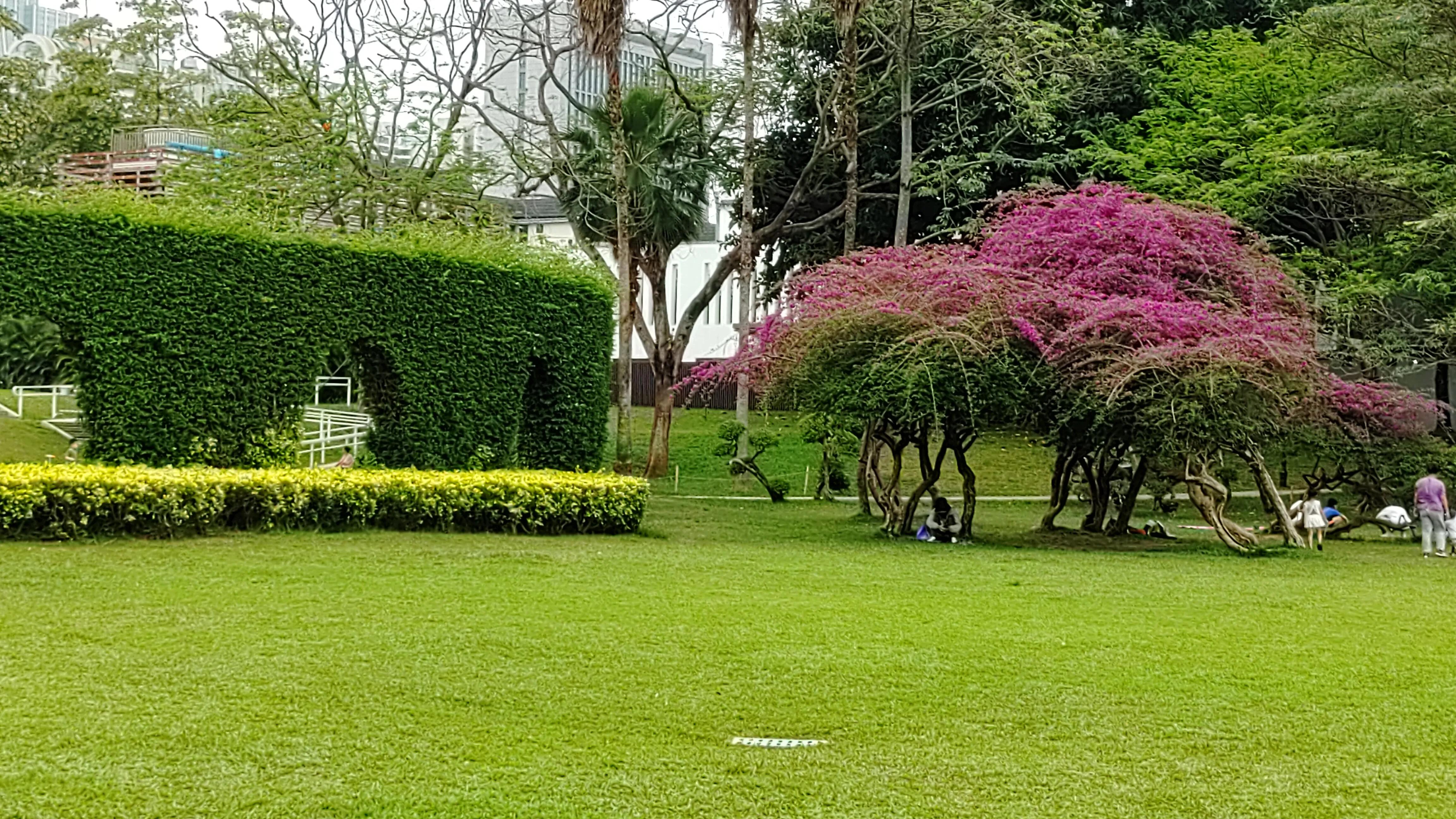 因为你的美点缀了所有一切,因为你的美惊艳了我的生命