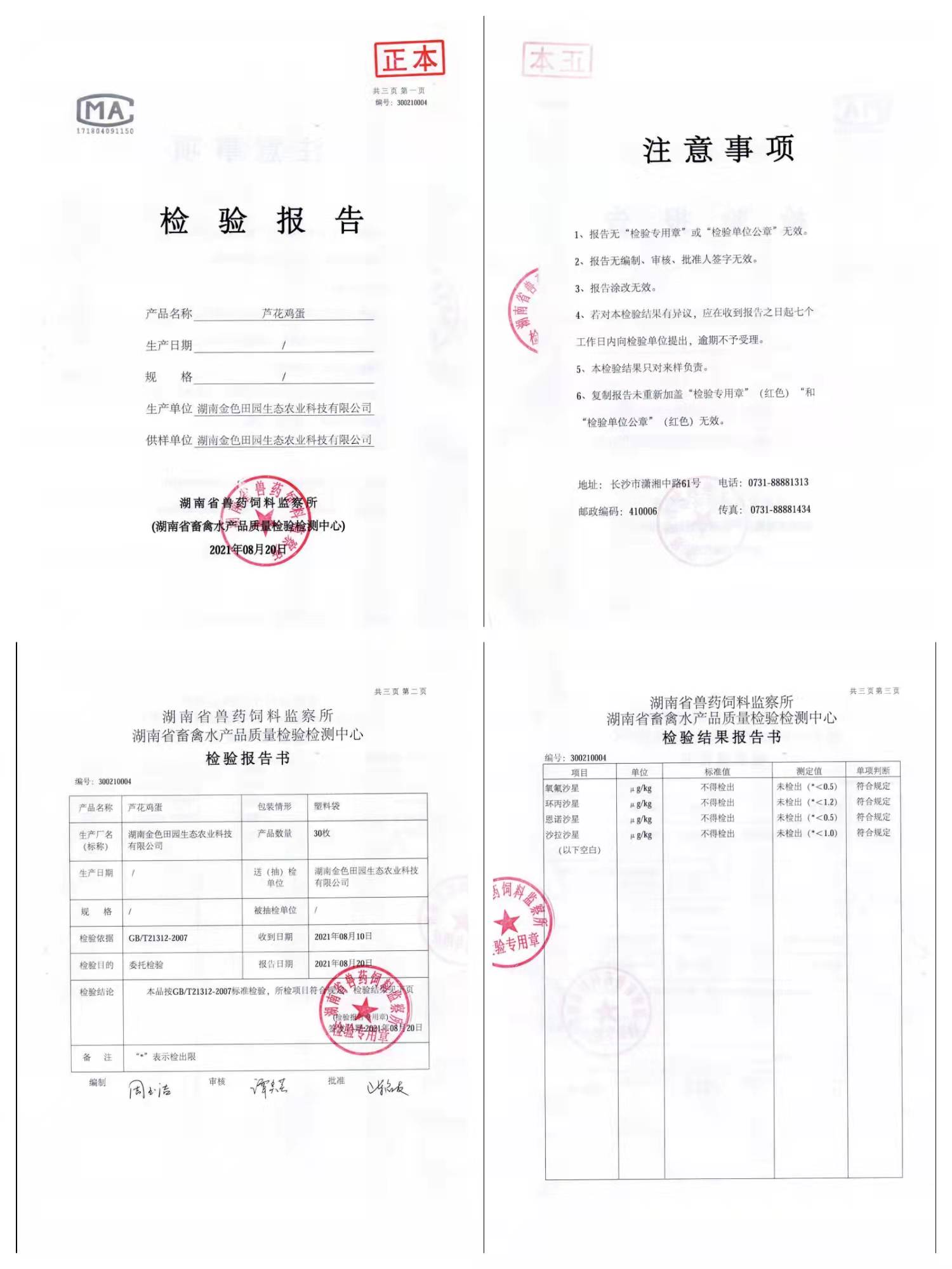 幸福是奋斗出来的——湖南金色田园生态农业科技有限公司侧记