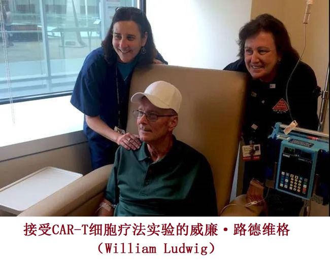 肿瘤与免疫的故事,肿瘤免疫治疗十大案例