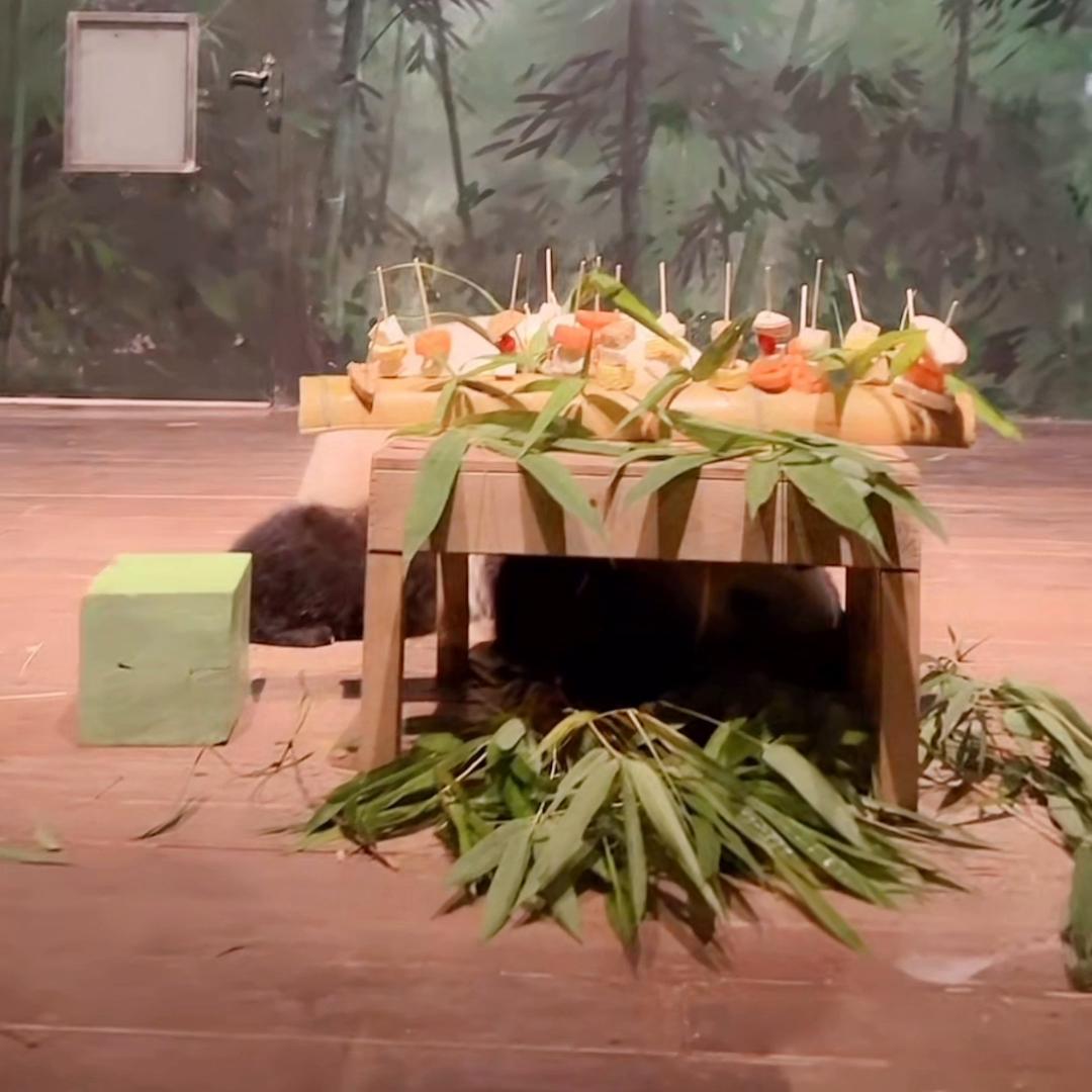 6.6夜播录屏(一)小国庆不太会撸串哦🤭视频来源直播间