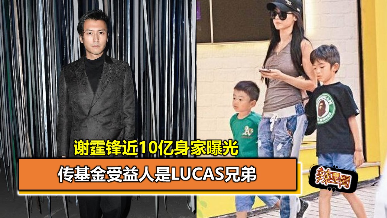 谢霆锋到底是帅还是酷,谢霆锋是真心对王菲吗