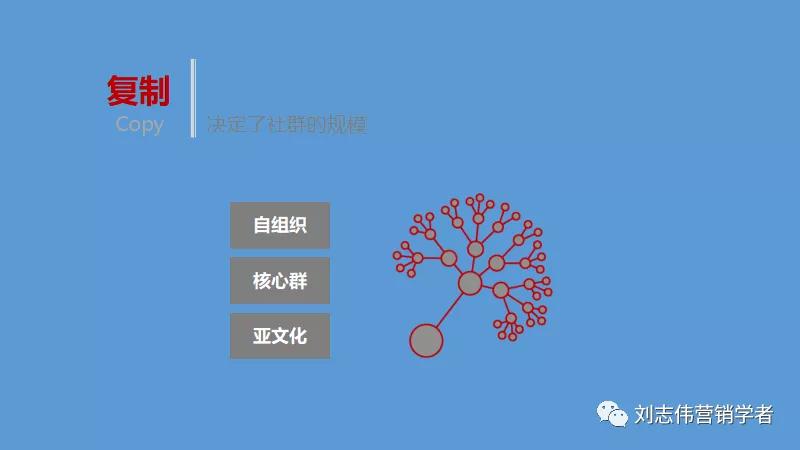 丁香园社群运营方案ppt,养老社区社群运营经验分享ppt