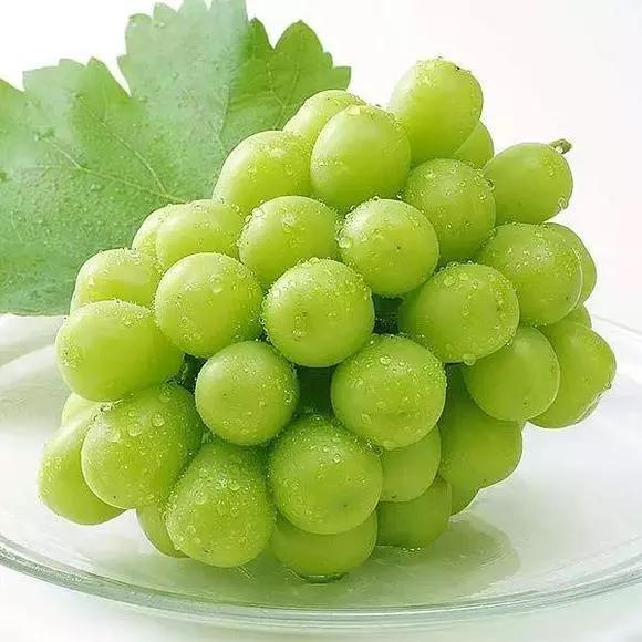 儿媳买高档水果，我尝了一个，她3天不理我，儿子扬言送我回乡下