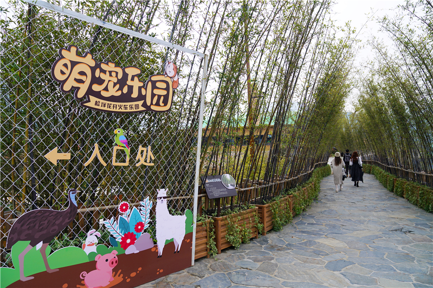 泰顺玉龙山氡泉温泉攻略,隐居山林世外桃源看夕阳