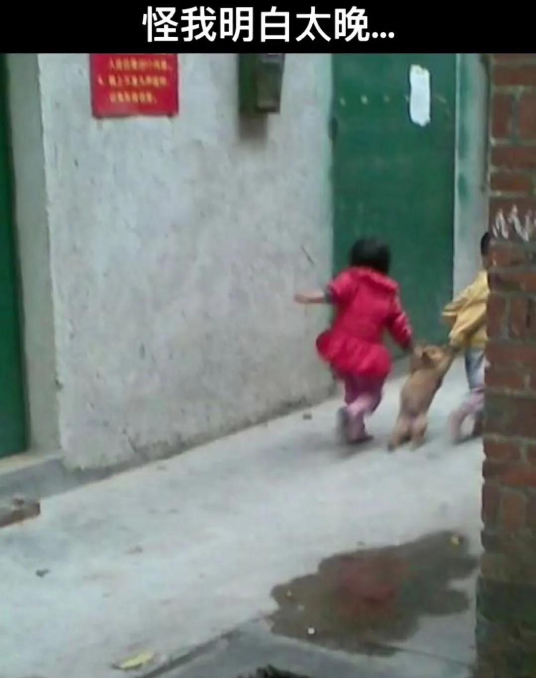 有人说你长得搞笑怎么回 (爆笑问答承担你一天的笑点)