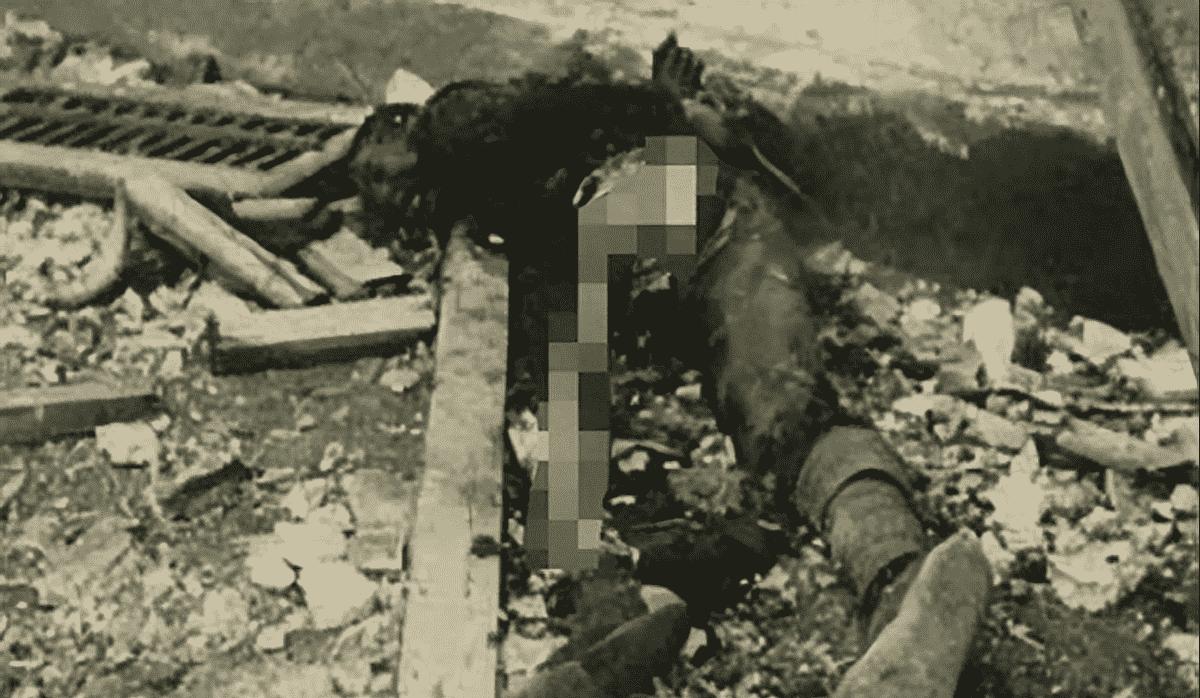 晚清男子被执行酷刑,清朝酷刑犯人游街示众