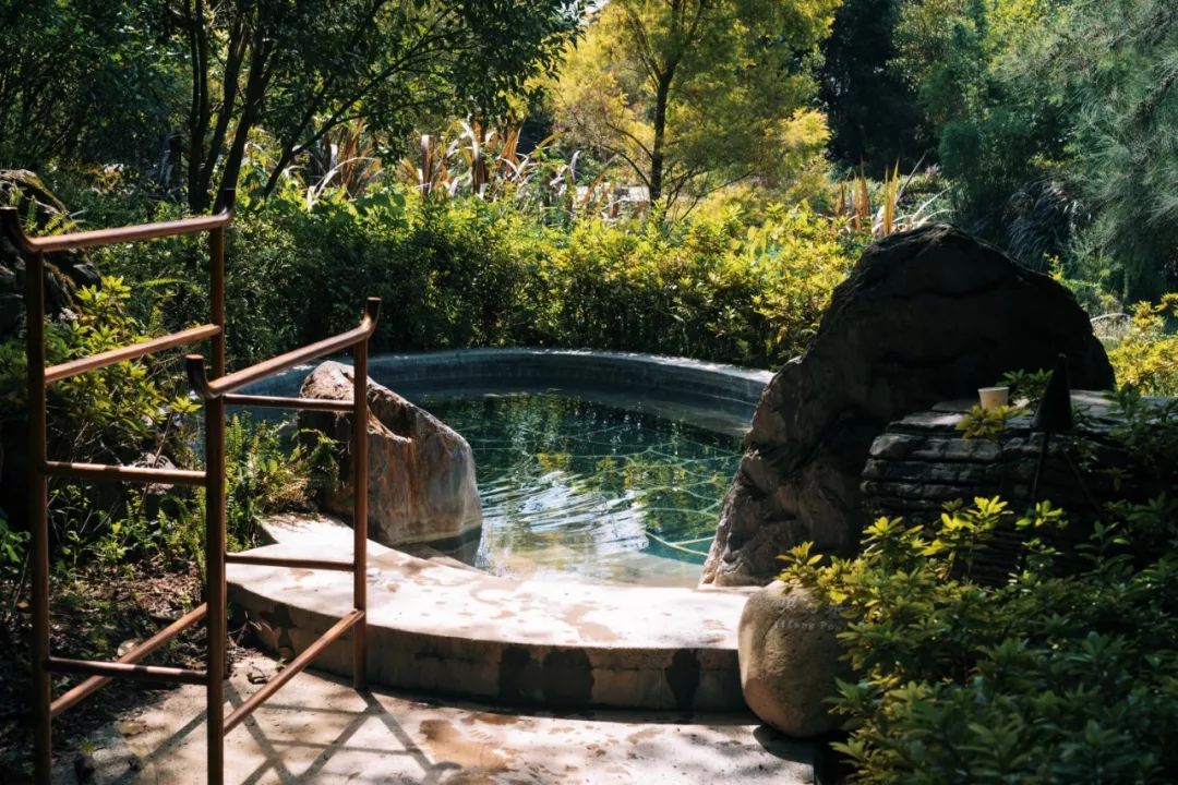 银杏谷泡温泉的地方,广东冬天赏银杏泡温泉