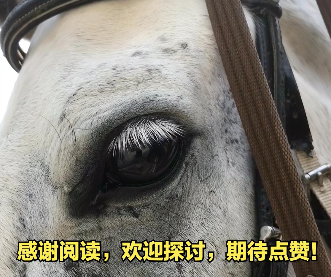 为什么创业99%会失败,99%是失败100%是成功