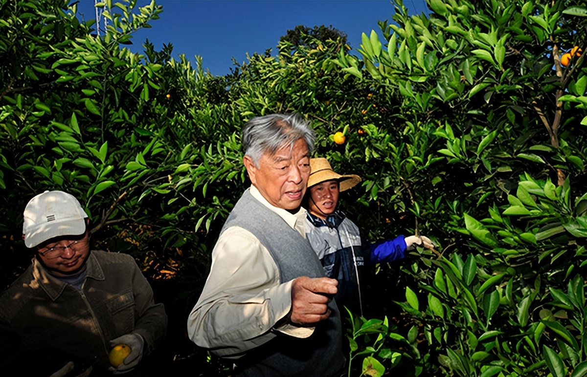烟王褚时健何时入狱,烟草大王褚时健为何入狱