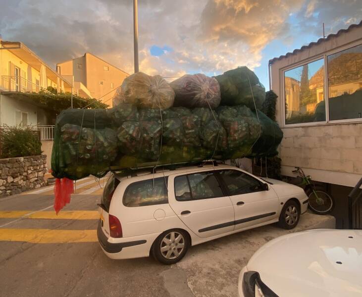 印度男子骑自行车去瑞典,印度小伙骑自行车追求瑞典女孩