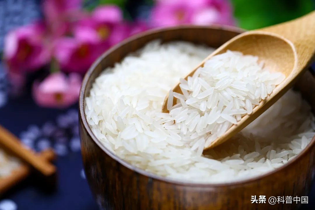 泰国香米大米区别,泰国香米与普通大米有什么区别