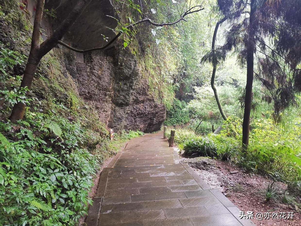 简报写作上有什么要求和方法,简报写作要点技巧