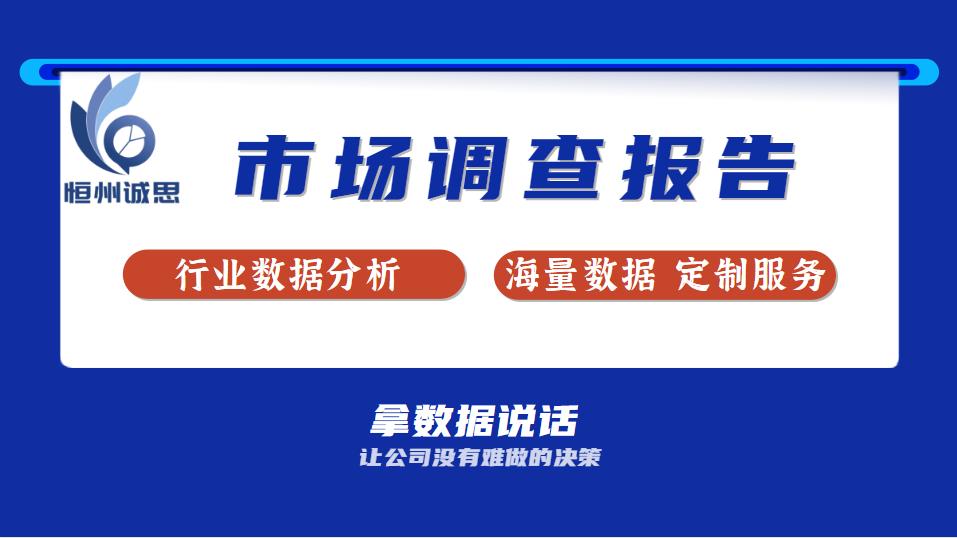 汽车租赁行业分析报告,2024年国内汽车租赁行业环境分析