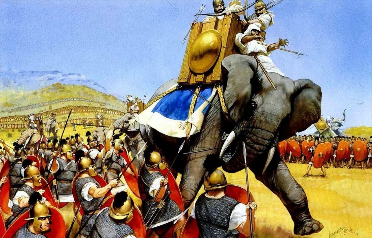 为什么不驯化大象作为食物,大象为啥不吃肉