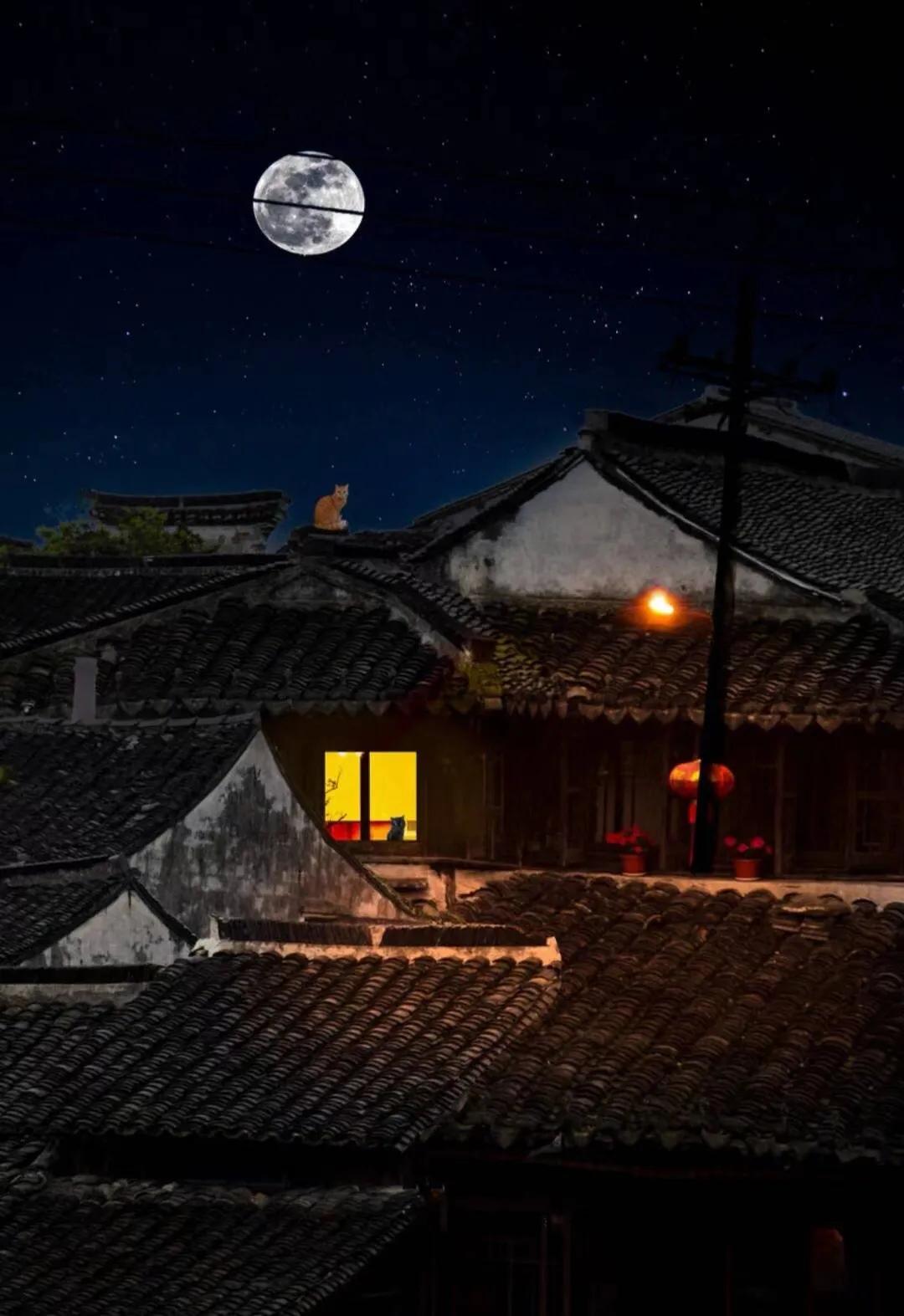 伊人望穿秋水歌词,望穿秋水相思意