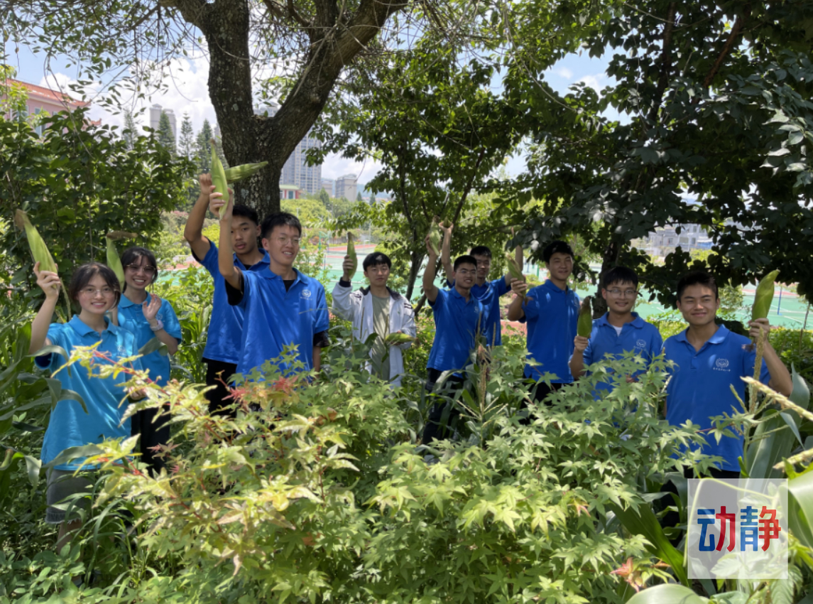 黔西南教育发展水平,黔西南州教育高质量发展