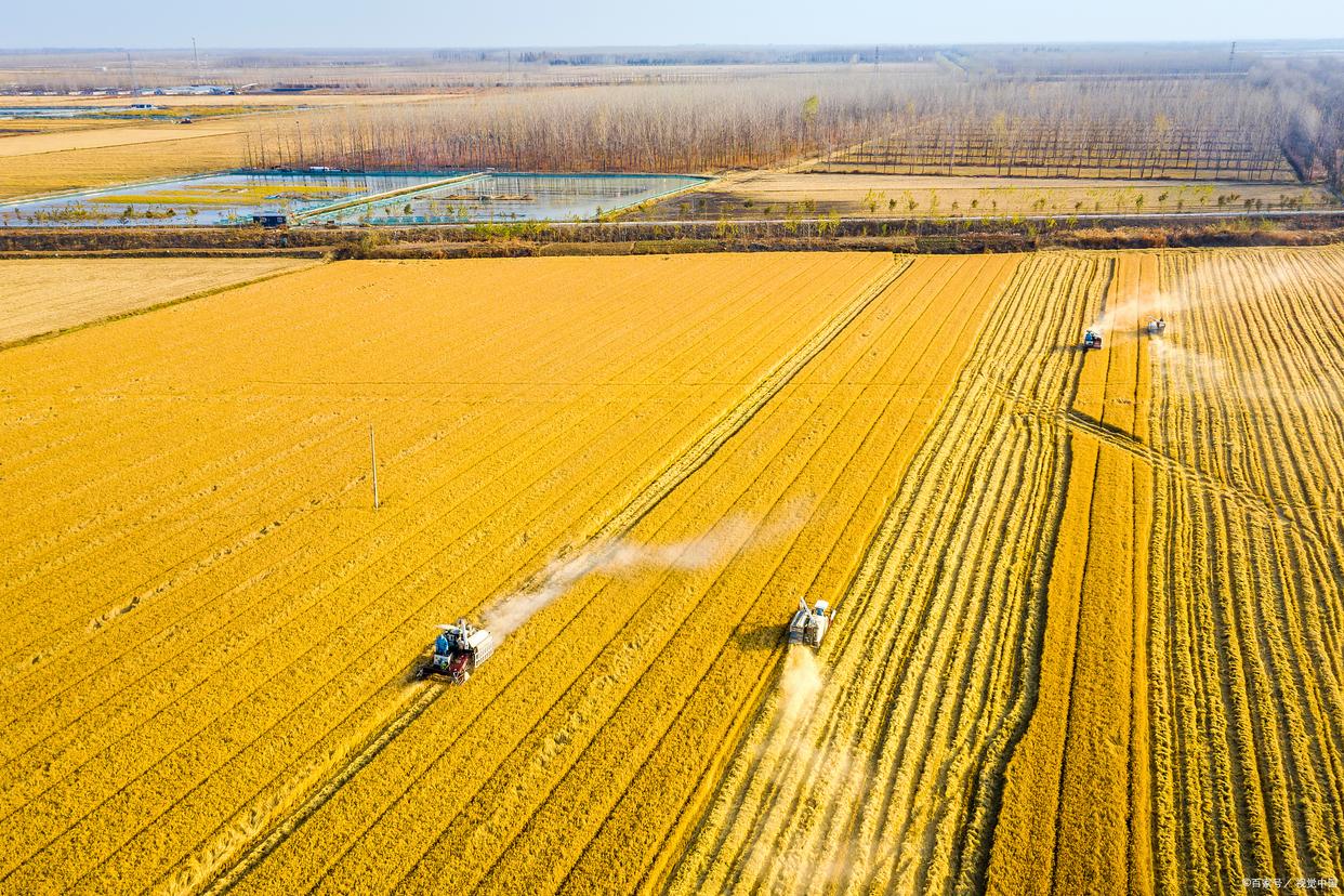 2023年农业的新政策补贴,2023年农业综合补贴政策