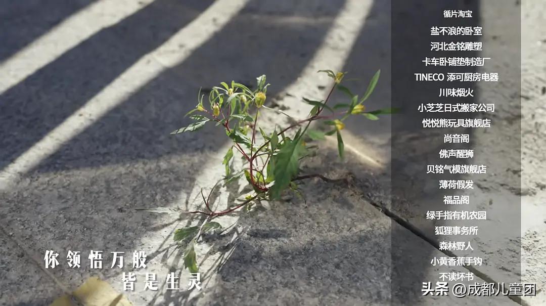 b站高分剧,b站高分动画短片