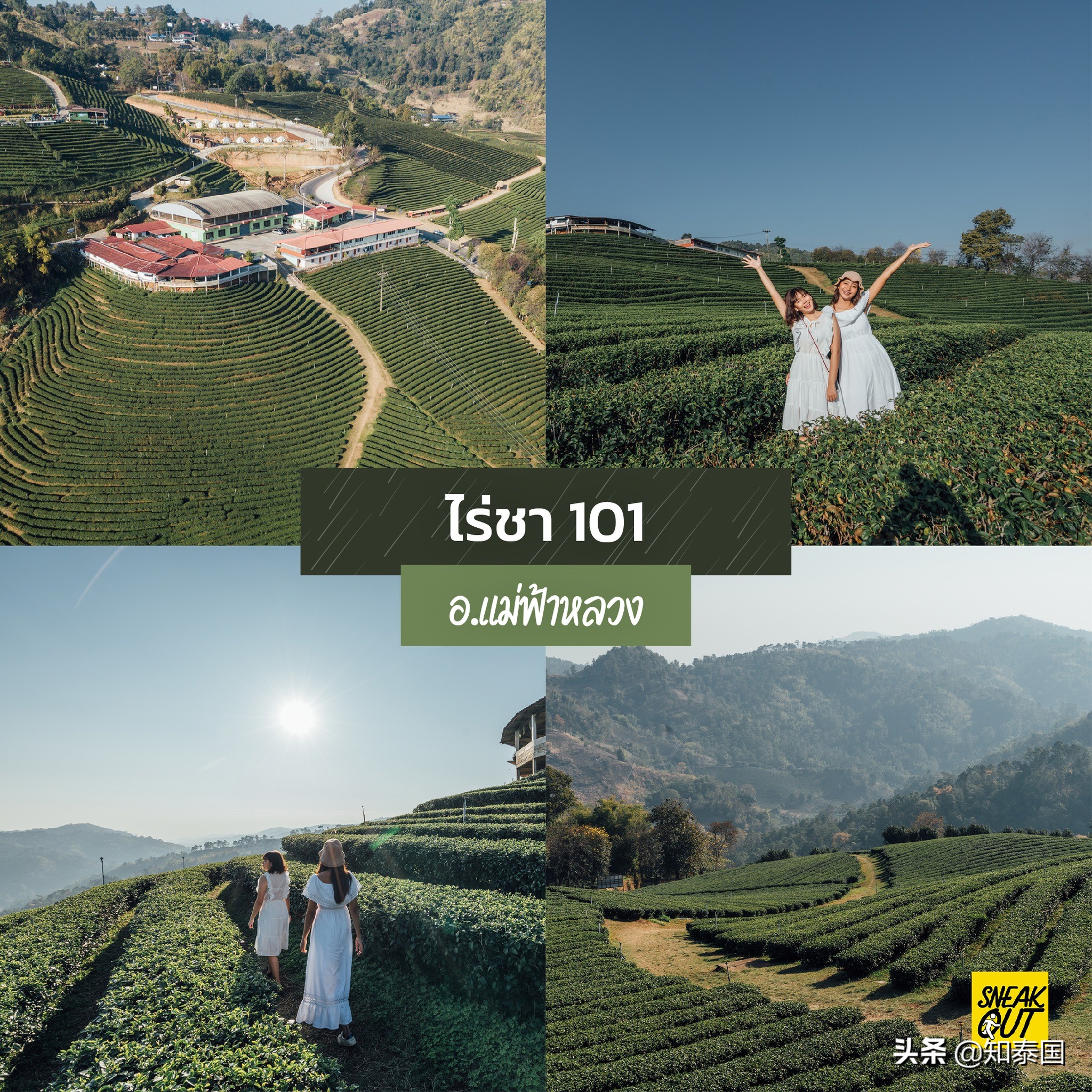 泰国清莱旅游攻略图,泰国雨天旅游必去景点