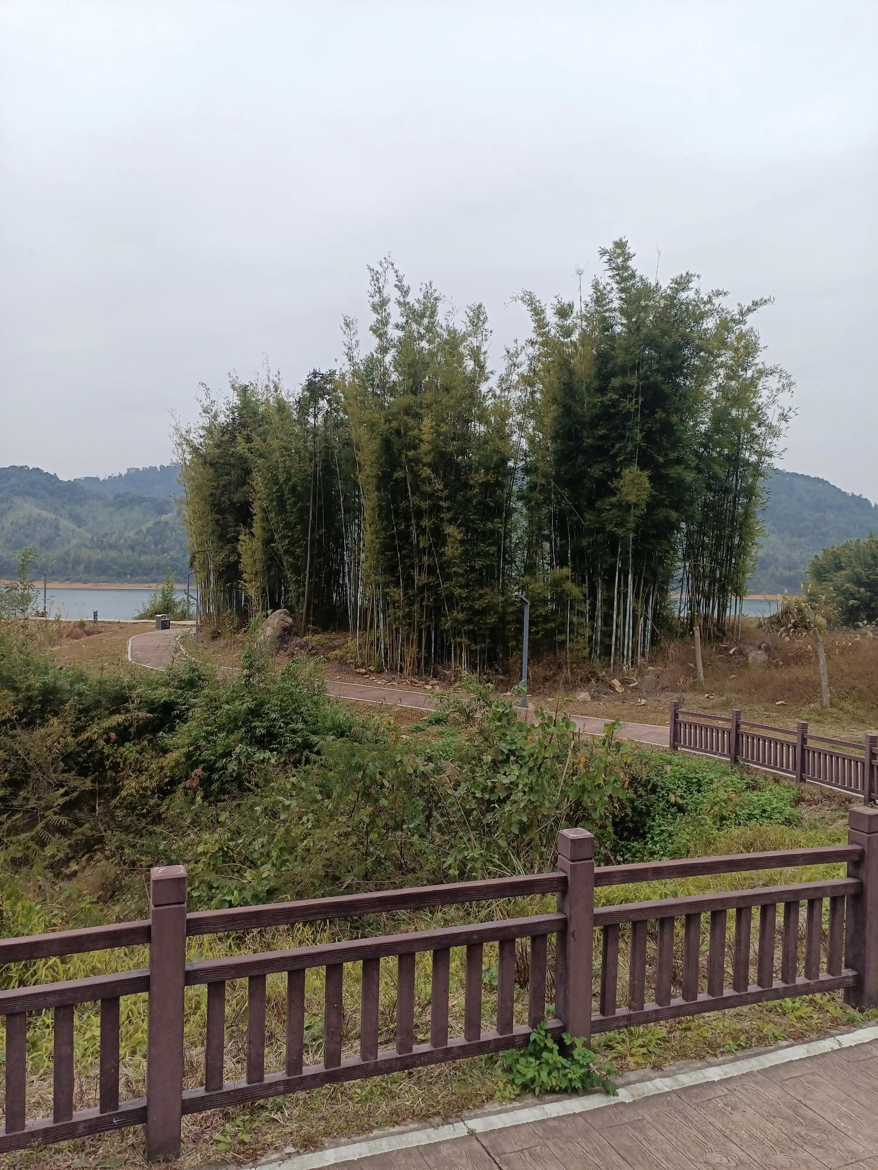 从化小杉村怎么去,从化小杉村自驾游攻略