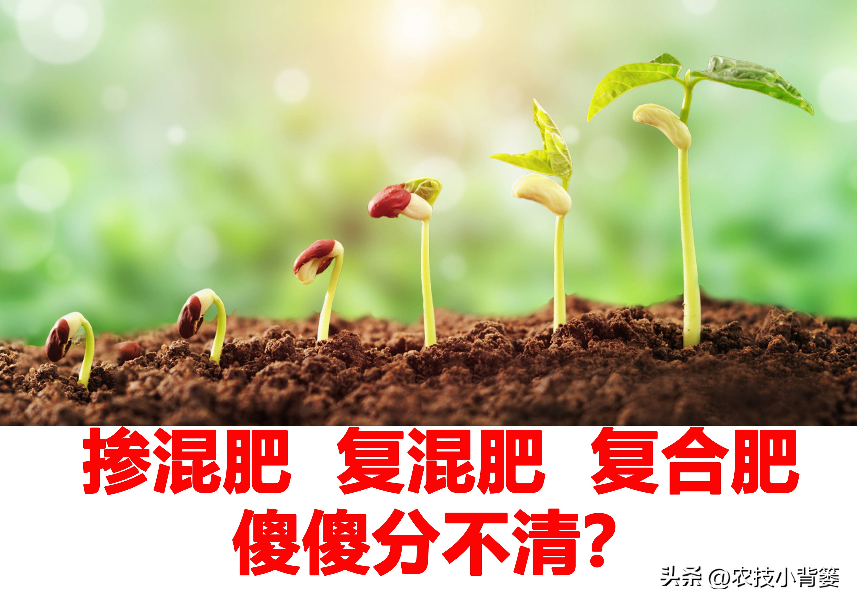 复合肥掺混肥各有什么区别,复合肥复混肥掺混肥哪个好