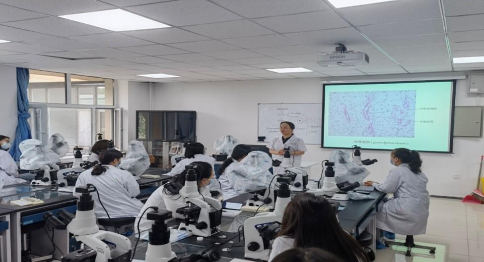 吉林大学白求恩基础医学院,吉林大学白求恩医学部基础医学院