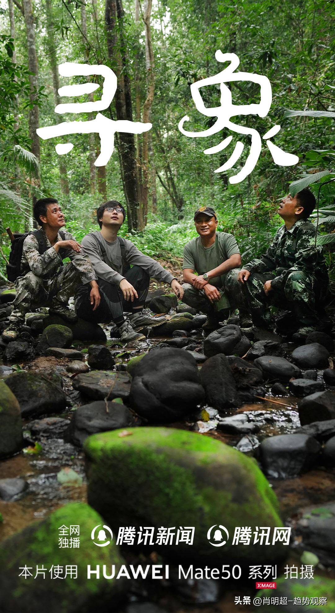 2019金鼠标营销,金鼠标网络营销案例