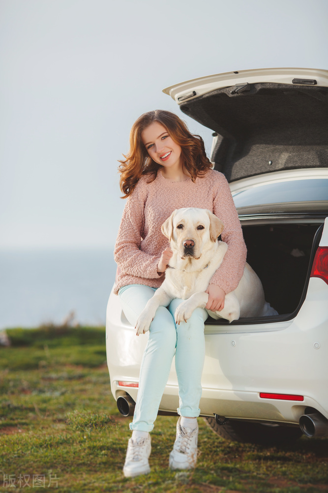 我的第一辆车图片,小型两厢二手菠萝车