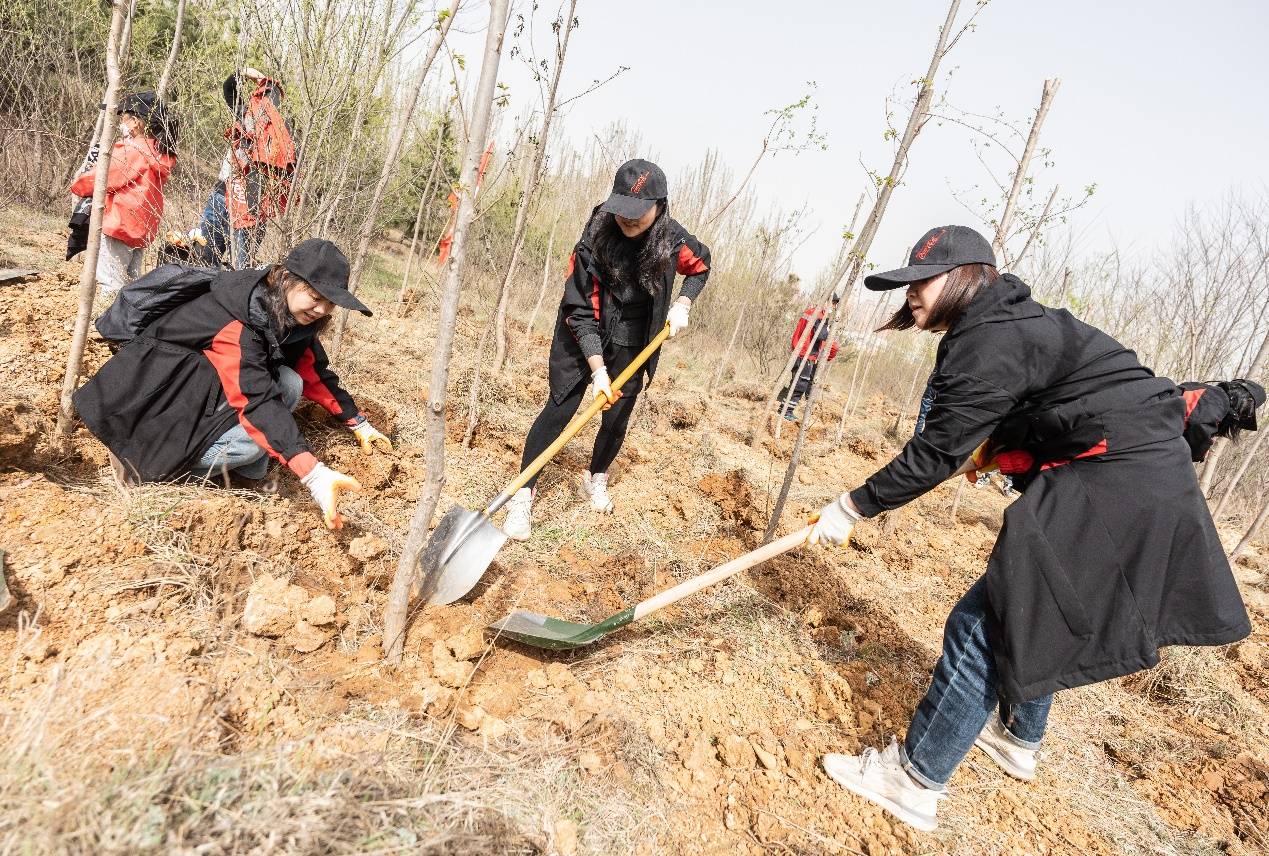 “植”此青绿、共“树”希望中粮可口可乐在辽宁掀起全民义务植树风潮