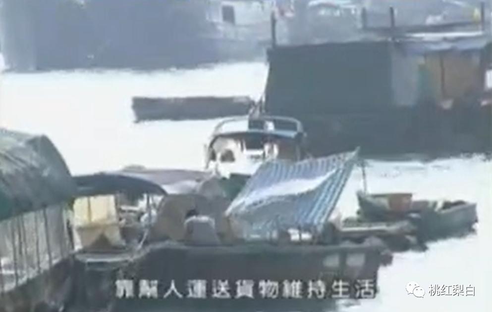 嫁入豪门的她都经历了啥,嫁入豪门的最后都怎么样了