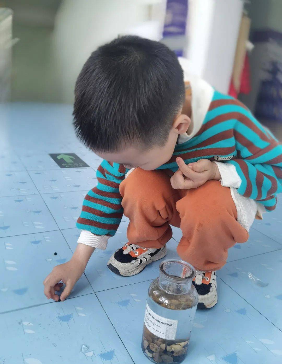 邂逅蝌蚪，感受生命的演变—诺亚舟海盐庆安幼儿园小一班