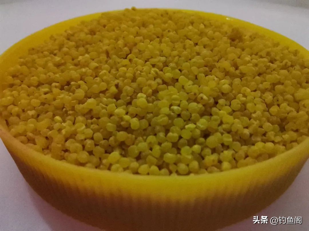 渔具店老板用什么饵钓鱼,钓鱼技巧渔具店