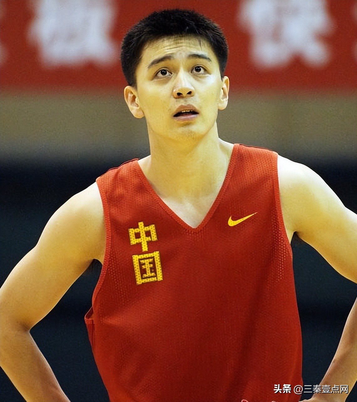 杨鸣沈阳形象大使,杨鸣形象大使