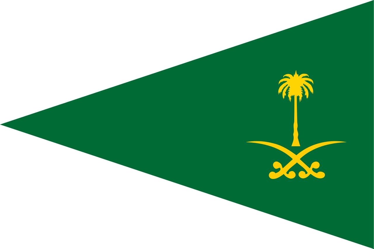 沙特阿拉伯军队服颜色,沙特阿拉伯队叫做什么名字