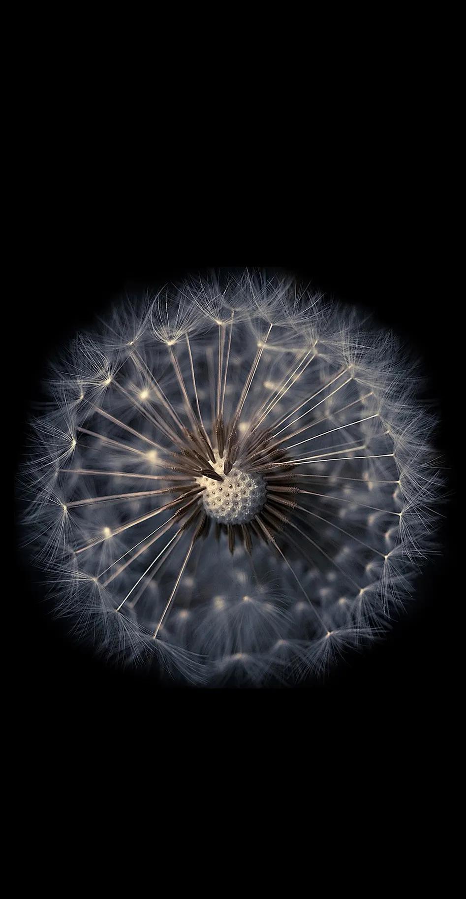 最美的光背景图片,超好看的夜晚蓝色的背景图