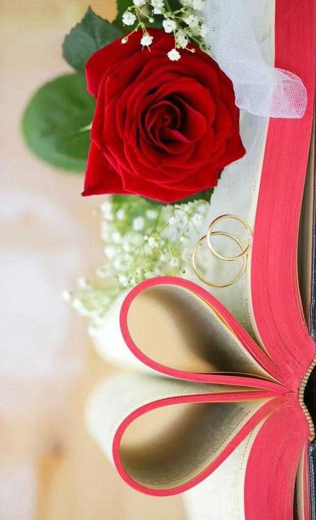 好看的的壁纸高清,好看的壁纸正方形图片