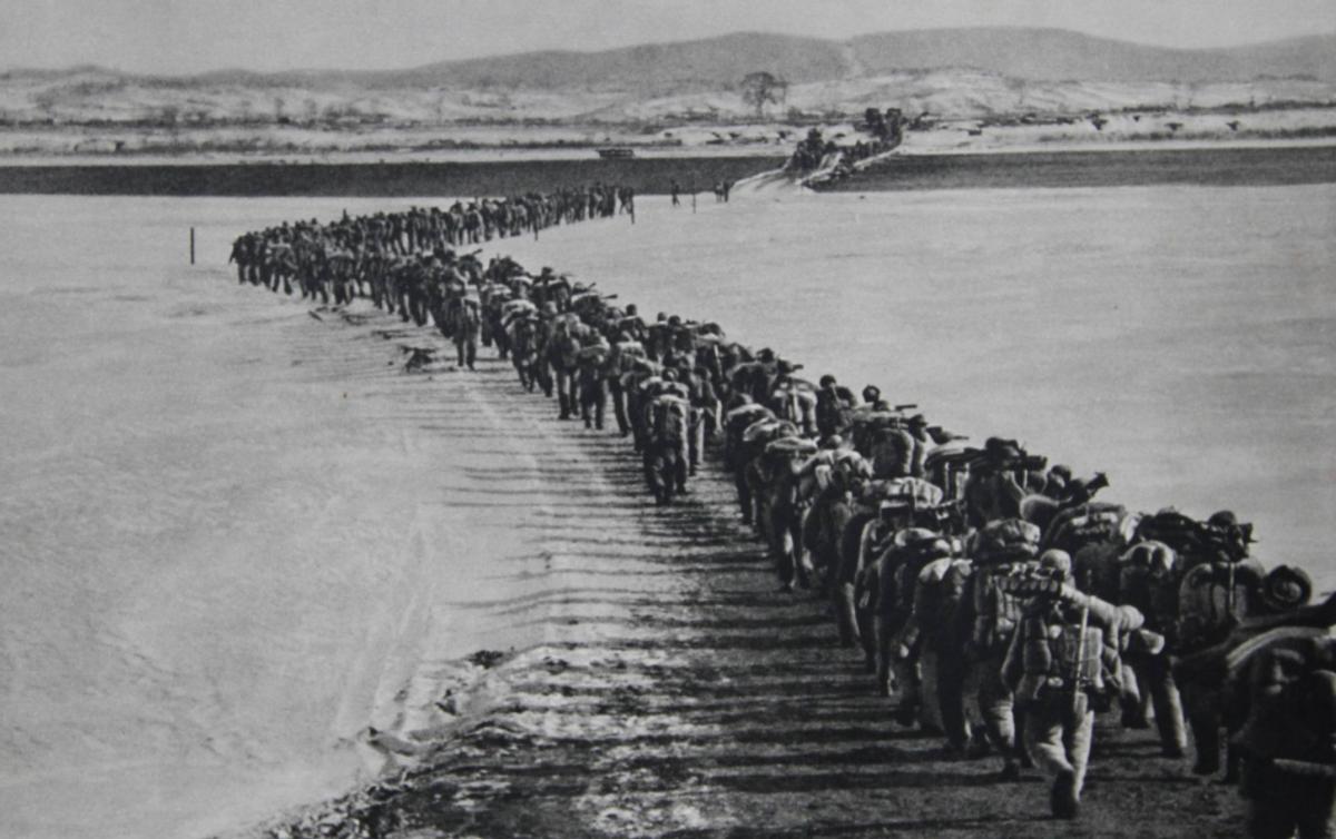 解放军113师简介,解放军113部队