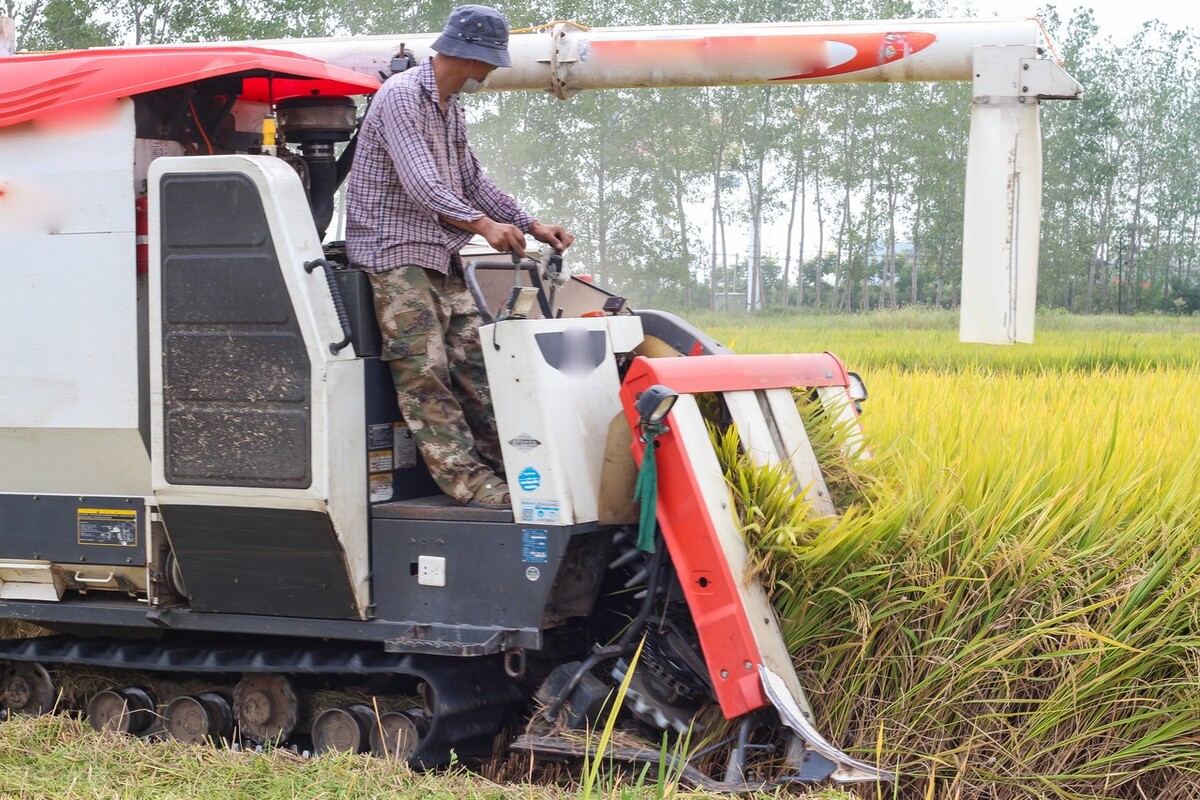 久保田588半喂入式收割机,久保田588半喂入式收割机的缺点