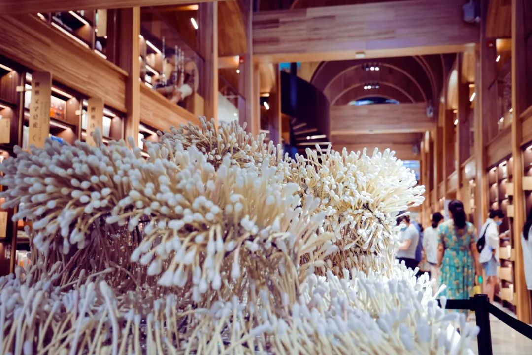 西安美院老城根 (西安老城根美院)