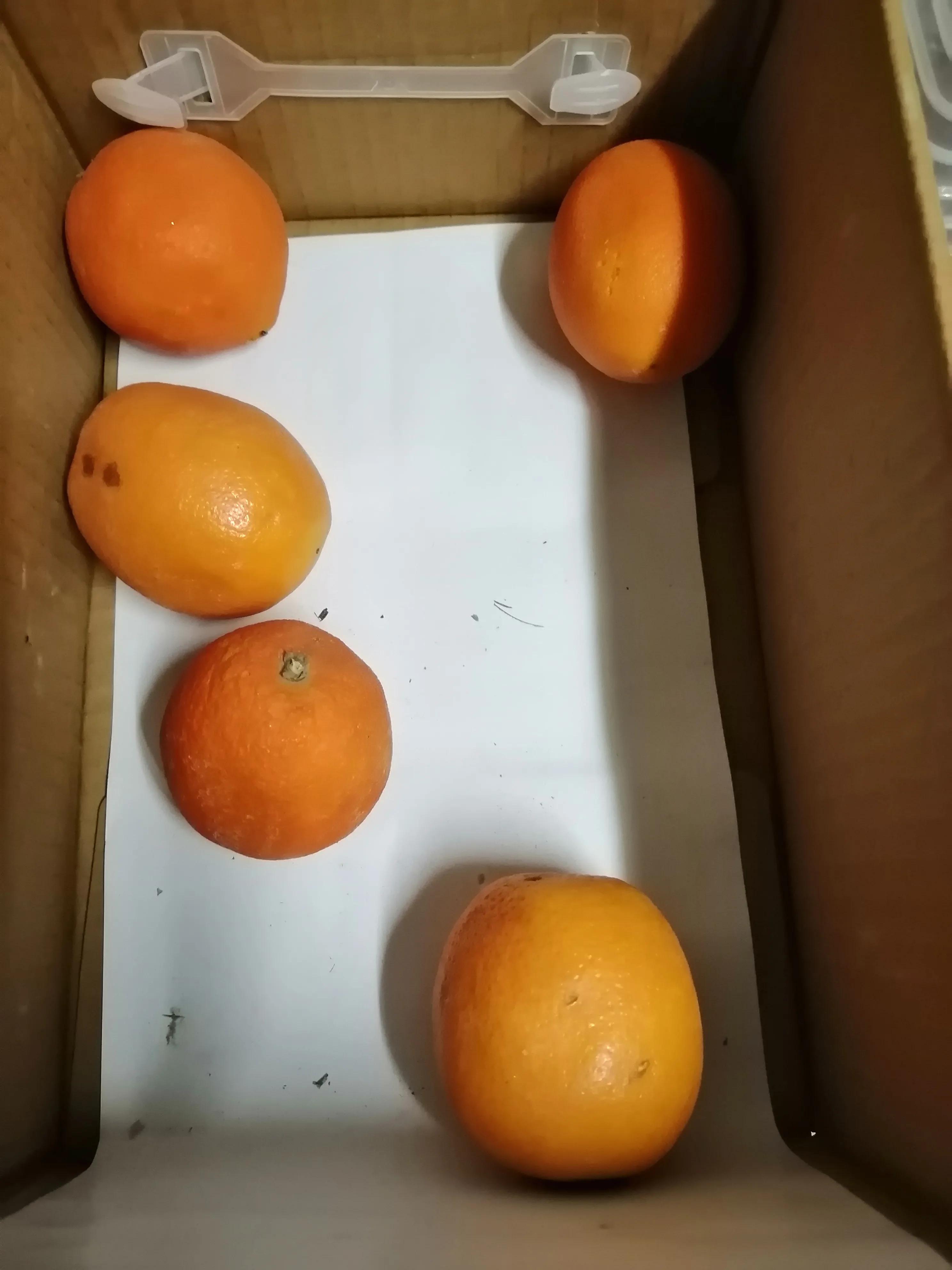 治咳嗽煮橙子的具体方法,咳嗽水煮橙子