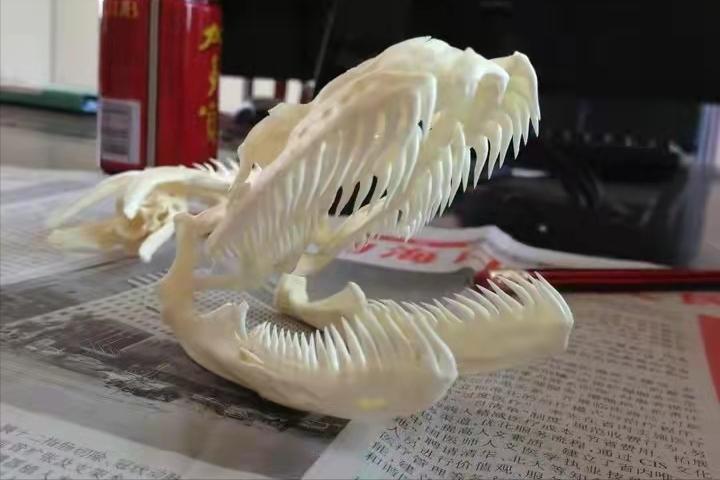 野外毒蛇咬伤急救方法,在农村路上碰到蛇怎么办