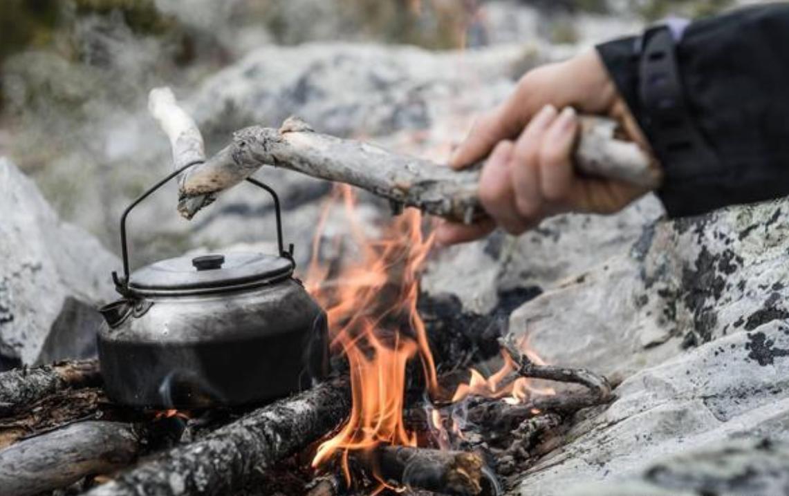 将水蛭放入冰箱还能活,水蛭吸血能钻到人体内并存活吗