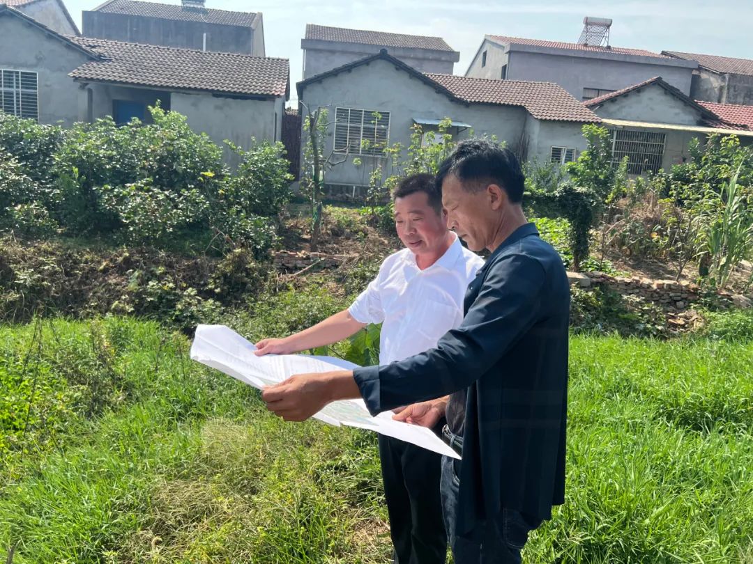 一只薯种出万元田！“*党**建+特色农业”让资源贫乏村“点”亮“薯”光大道