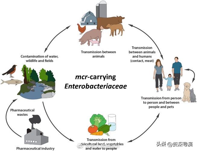 华大公司好进吗,华大是不是一家好公司