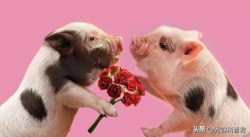 *拍偷**的夫妻生活照，羞羞的