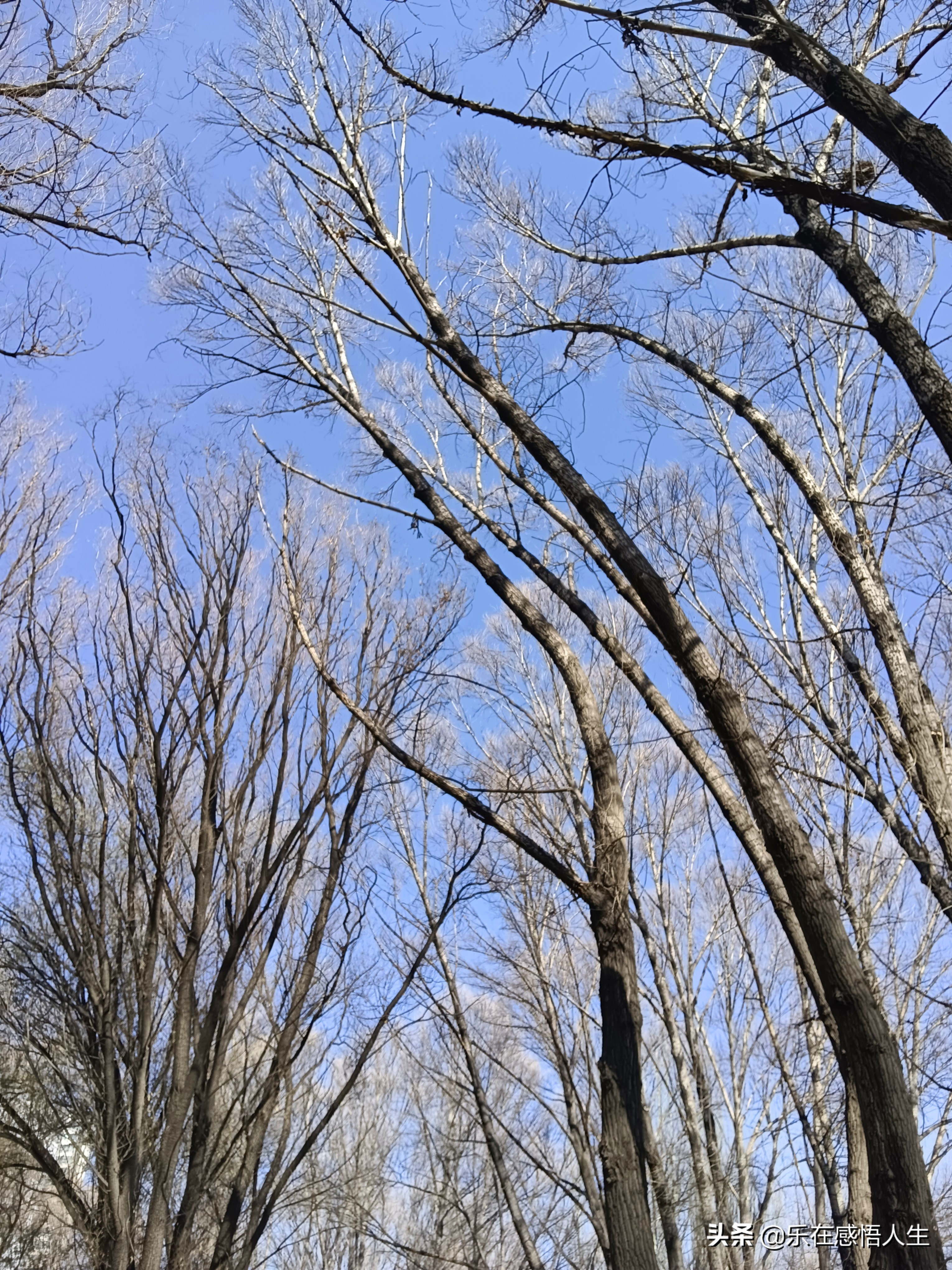 你以为北方的冬天是这样的,北方的冬季就是这样的