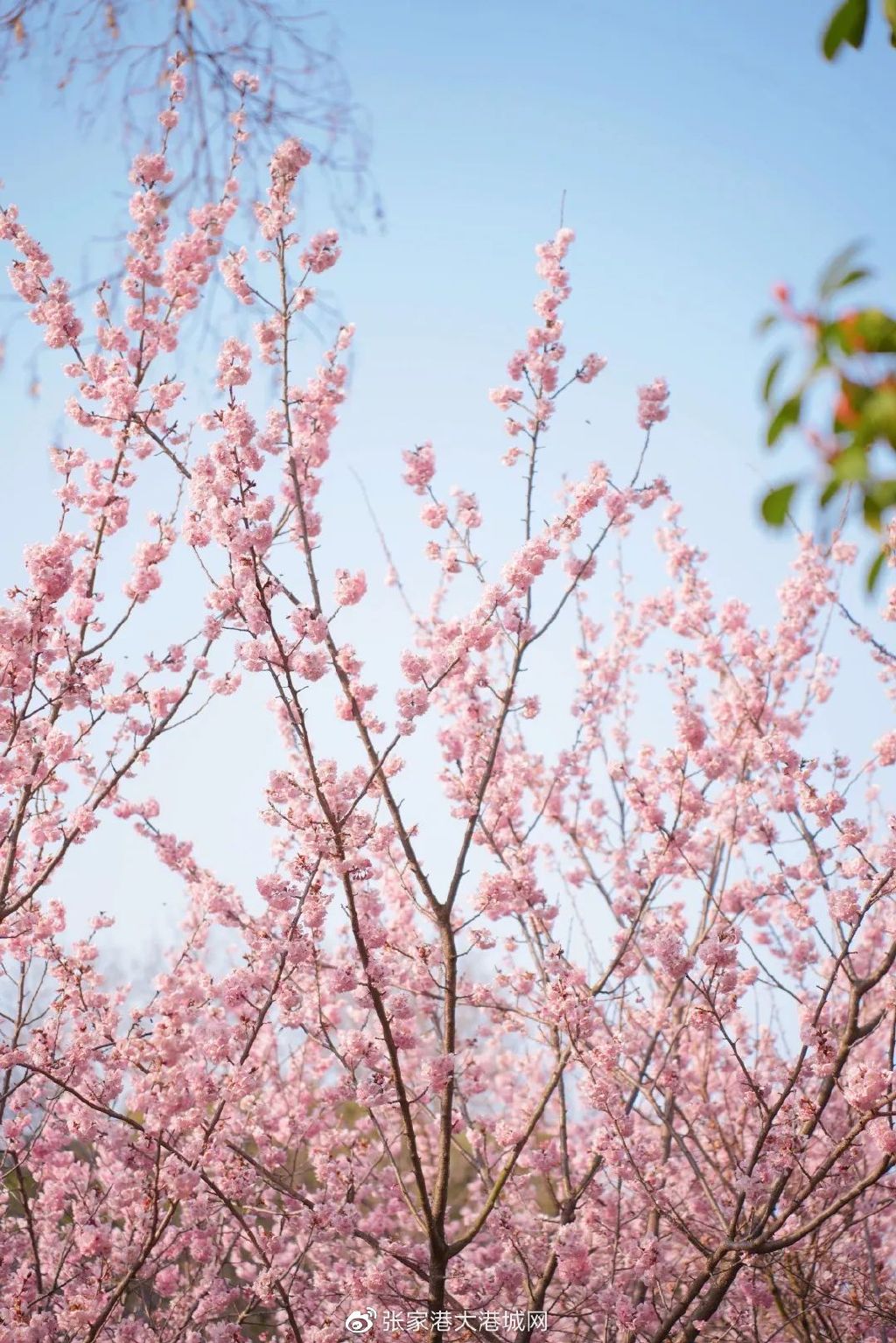 在张家港没钱可以做什么生意,张家港50万能做什么