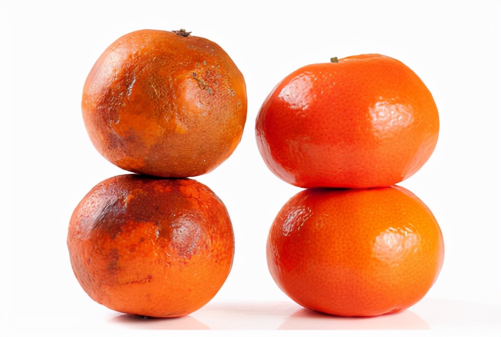 怎么清理腐烂发霉的橘子,橘子腐烂的全过程