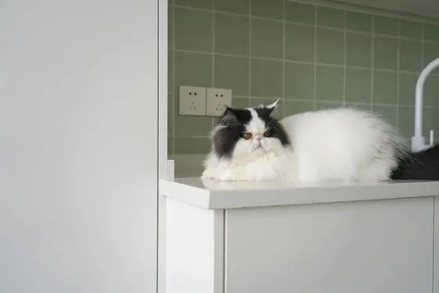 离婚女人买了个30平米房子,32岁靠自己买车买房